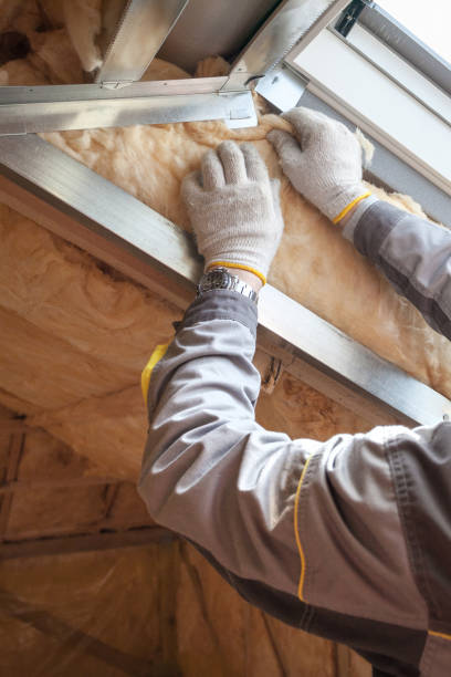 Best Cellulose Insulation in Caledonia, MS
